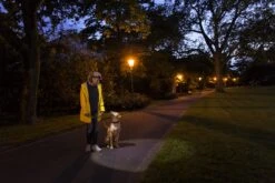 LEDLENSER Stirnlampe H6 Mit Schwenkbarem Lampenkopf -Ledlenser H Serie datasheet titelbild stirnlampe H6R 1920x1920 1