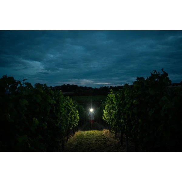 Ledlenser Stirnlampe H7R Signature, LED-Leuchte 13 Ledlenser Stirnlampe H7R Signature, LED-Leuchte – Bild 13