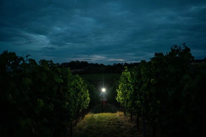 Ledlenser LED Stirnlampe H7R Signature 10 Ledlenser LED Stirnlampe H7R Signature – Bild 10