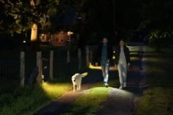 Ledlenser LED Taschenlampe P7R Core -Ledlenser ledlenser p7r core led taschenlampe 502181 beispiel5 720x600